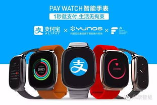 2015国产智能手表众筹风云榜Top10 智能穿戴的崛起与探索